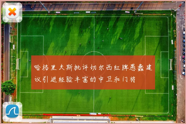 哈格里夫斯批评切尔西红牌愚蠢建议引进经验丰富的中卫和门将